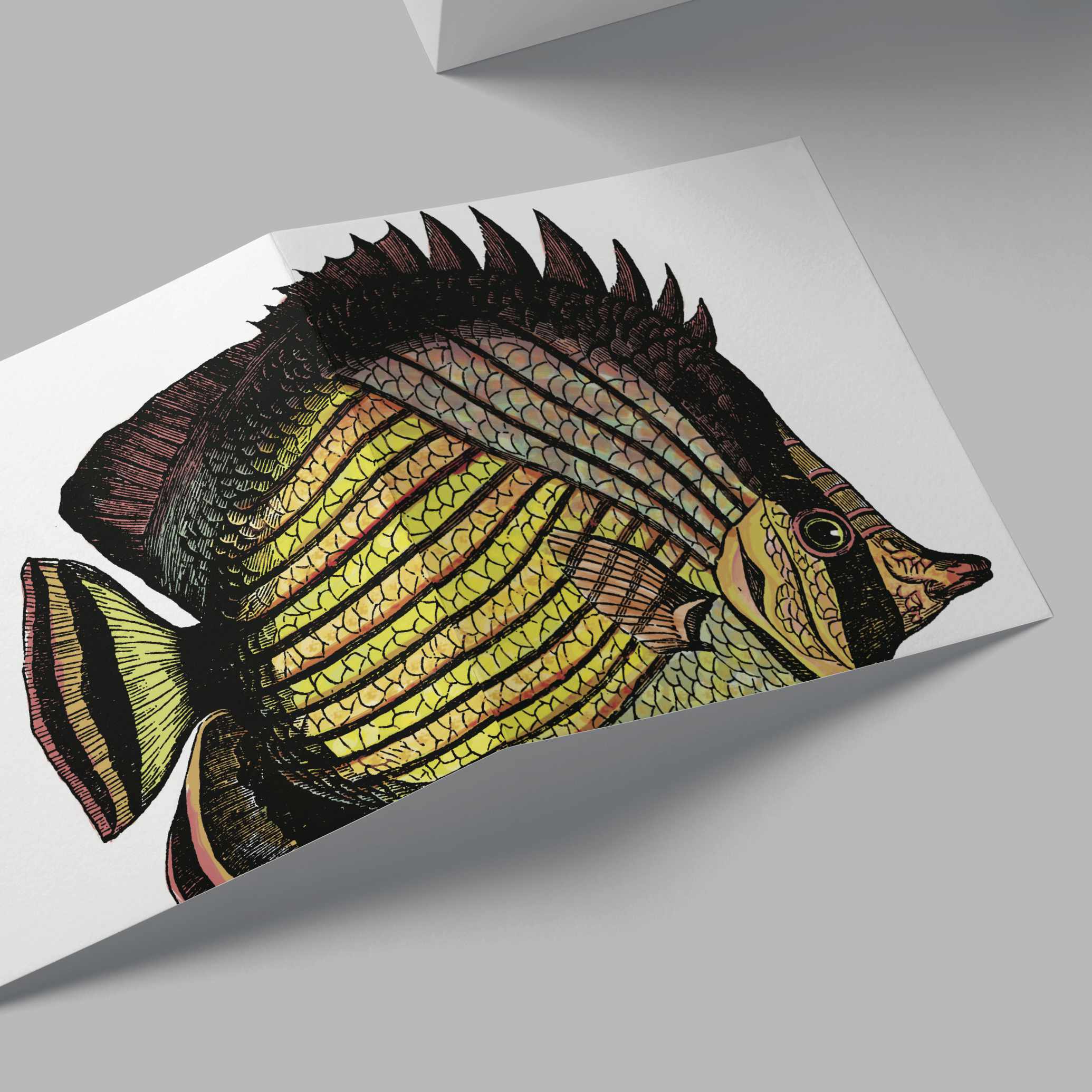 Butterfly Fish Card